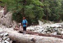 Parvati River – Kasol – 2019 Himachal Pradesh